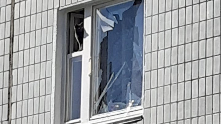 Кошки смотрели в окна: ярославские спасатели вытащили из пострадавшего от взрыва дома 150 животных