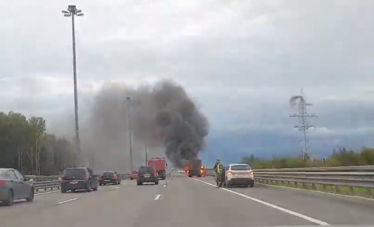 Кадр из видео в <a href="https://vk.com/spb_today" class="_">vk.com/spb_today</a>
