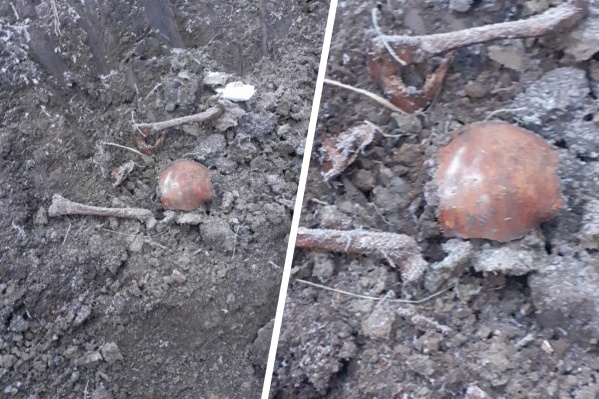 Кости обнаружены в районе села Лугового Кости обнаружены в районе села Лугового