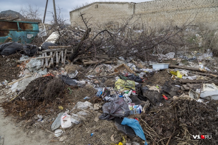 Число диких мусорных свалок в Волгограде зашкаливает