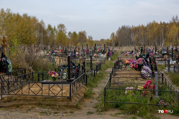 В последние годы смертность в Ярославской области сокращалась В последние годы смертность в Ярославской области сокращалась