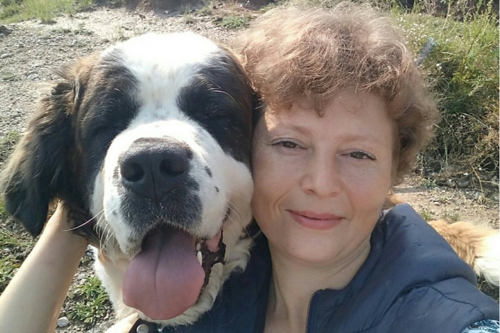 Истощенного сенбернара Ольга нашла недалеко от своего дома — пес лежал в канаве без каких-либо надежд на лучшую жизнь Истощенного сенбернара Ольга нашла недалеко от своего дома — пес лежал в канаве без каких-либо надежд на лучшую жизнь
