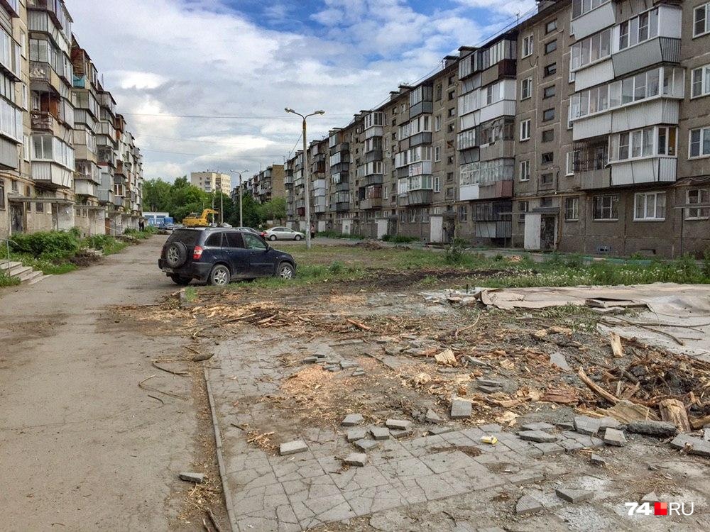 Челябинская управляйка, вырубившая деревья во дворе, избежала штрафа и разбирательств с полицией