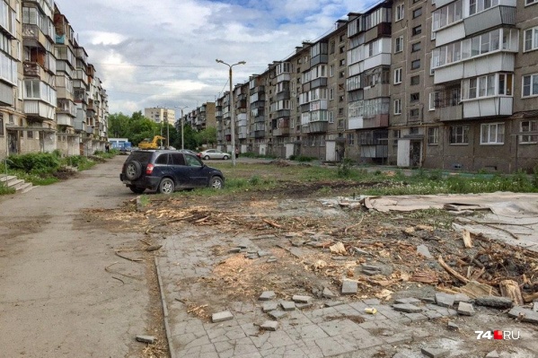 Во дворе на Гончаренко не осталось ни одного взрослого дерева Во дворе на Гончаренко не осталось ни одного взрослого дерева