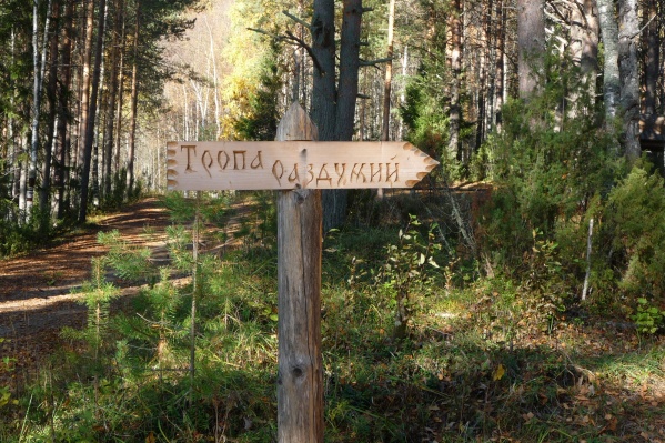 Экскурсий не будет, но по тропам гулять можно Экскурсий не будет, но по тропам гулять можно