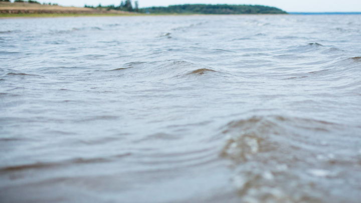 Ярославцев предупредили о резком повышении уровня воды в Волге: кого затопит