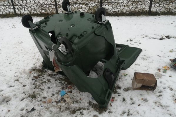 В Зауралье продолжают атаковать мусорные баки В Зауралье продолжают атаковать мусорные баки
