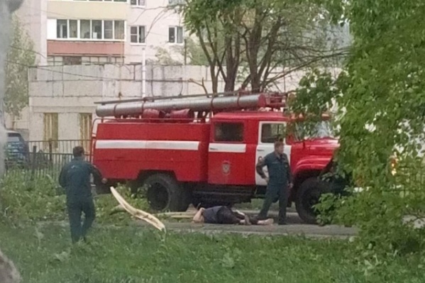 Женщина скончалась на следующий день после того, как на нее упала ветка тополя Женщина скончалась на следующий день после того, как на нее упала ветка тополя
