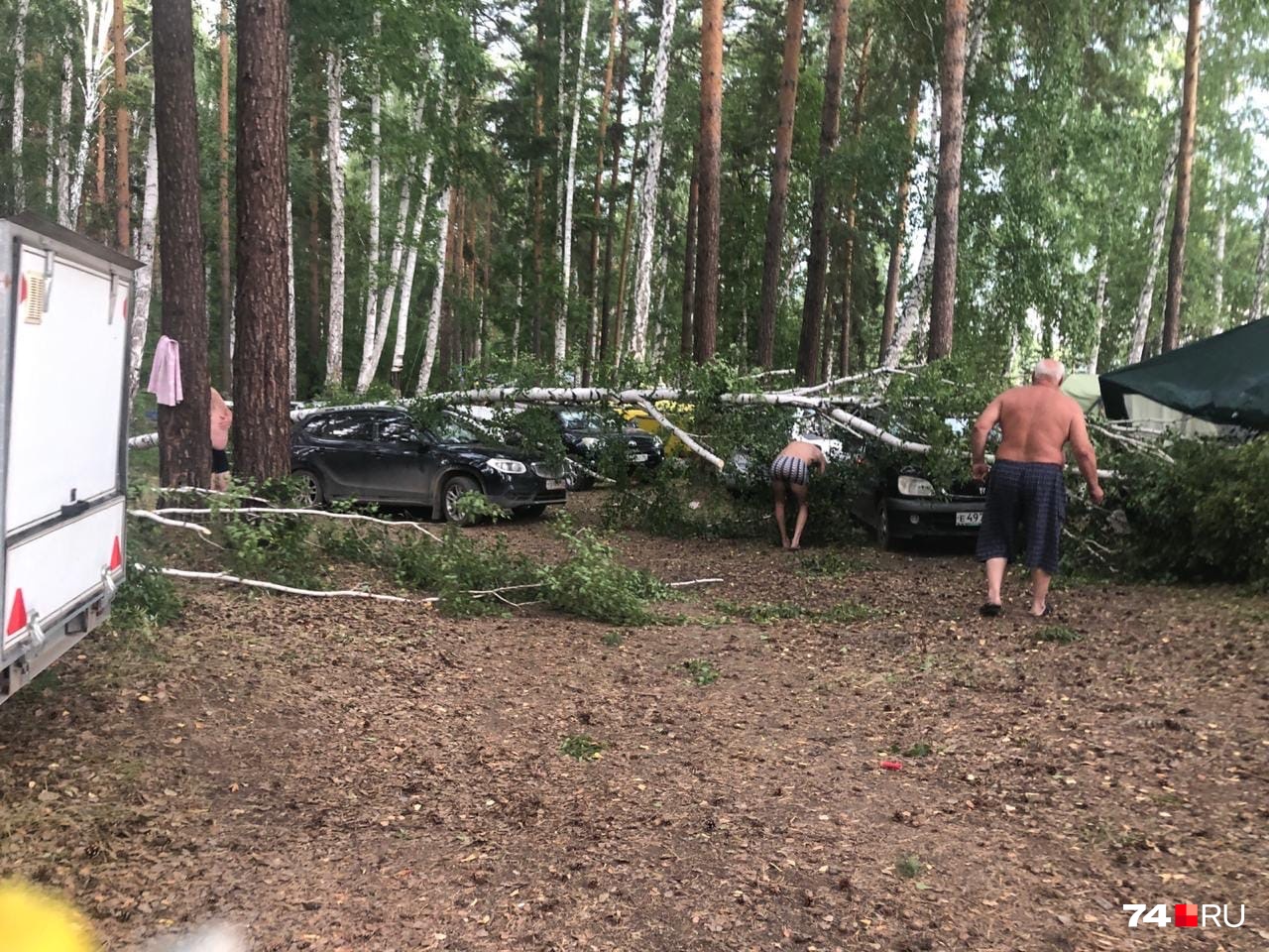 Берёзы упали совсем рядом с палатками Берёзы упали совсем рядом с палатками