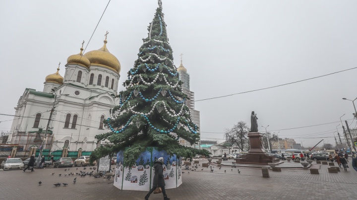 Голубев не решил, сделать ли 31 декабря выходным в Ростовской области