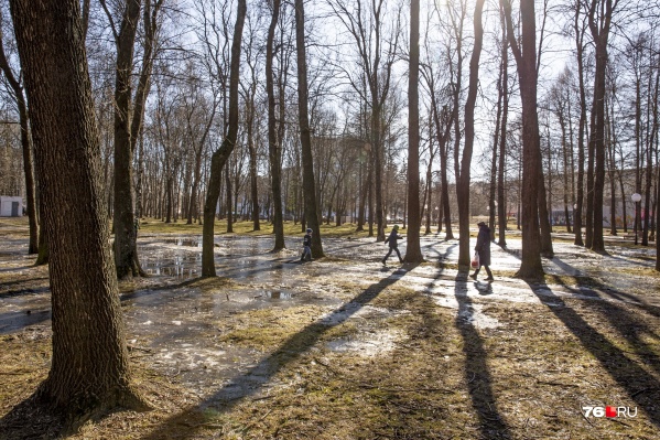 В выходные в Ярославле температура воздуха на 7–9 °C превысит климатическую норму В выходные в Ярославле температура воздуха на 7–9 °C превысит климатическую норму
