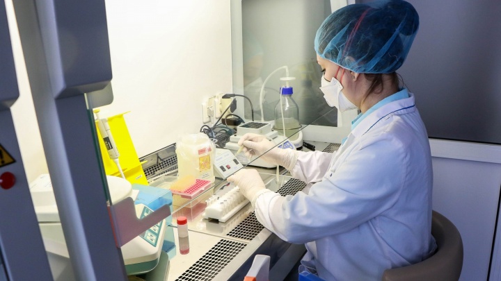 Новосибирские учёные предложили новый тест на коронавирус — он будет анализировать выдох человека