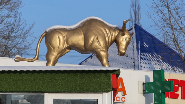 Семя быков за 34 млн, Honda CR-V за 228 тысяч и «Беларусь»: в Башкирии продают имущество крупного предприятия