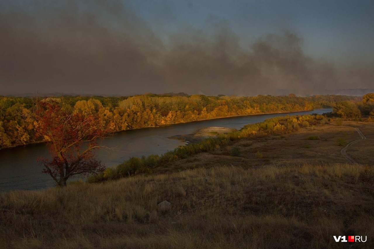 «Ситуация — сложная, от огня отделяет Хопёр»: в Волгоградской области второй день горят леса