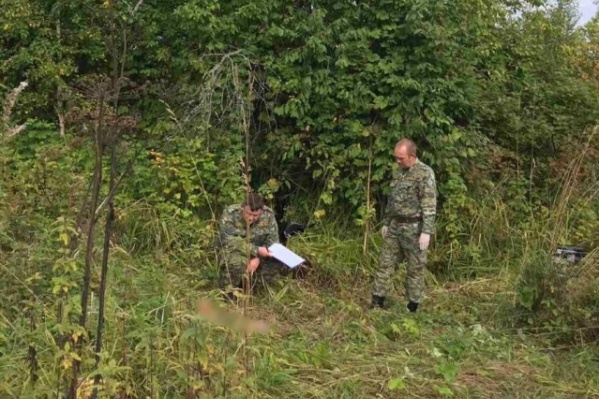 Девочку обнаружили в зарослях травы Девочку обнаружили в зарослях травы
