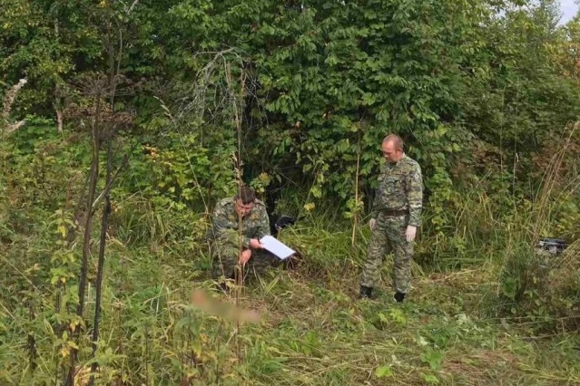 Девочку обнаружили в зарослях травы Девочку обнаружили в зарослях травы