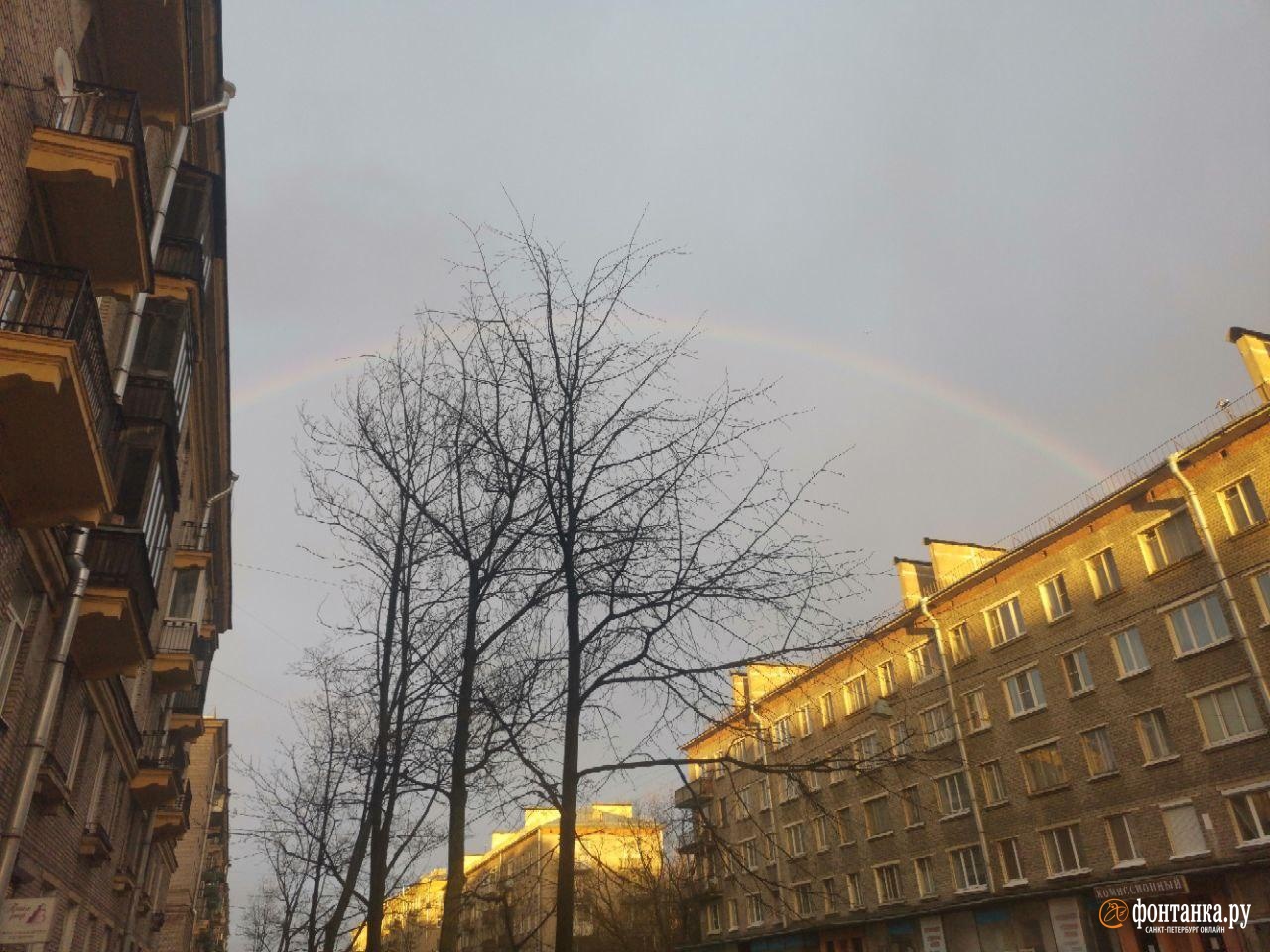 Над Петербургом после дождя нависла радуга. Показываем для тех, кто самоизолировался