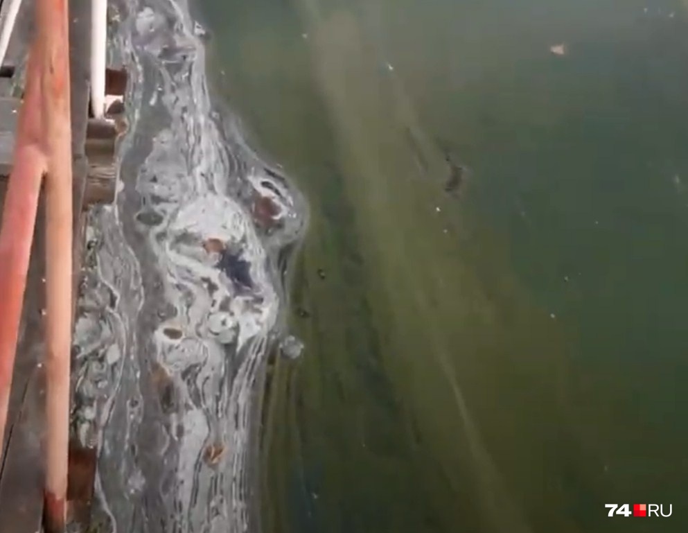 «В болоте вода чище»: в Увильды сбросили мыльно-зелёные отходы