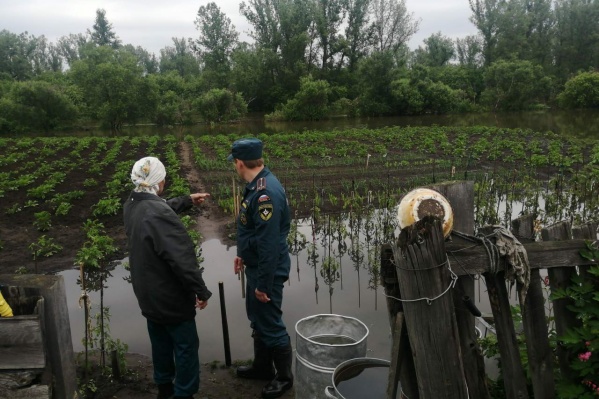 Урожай в этом году пострадал не только из-за холода, но и подтопления Урожай в этом году пострадал не только из-за холода, но и подтопления