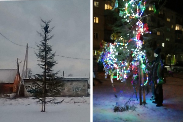 Лысая елка не понравилась местным жителям Лысая елка не понравилась местным жителям
