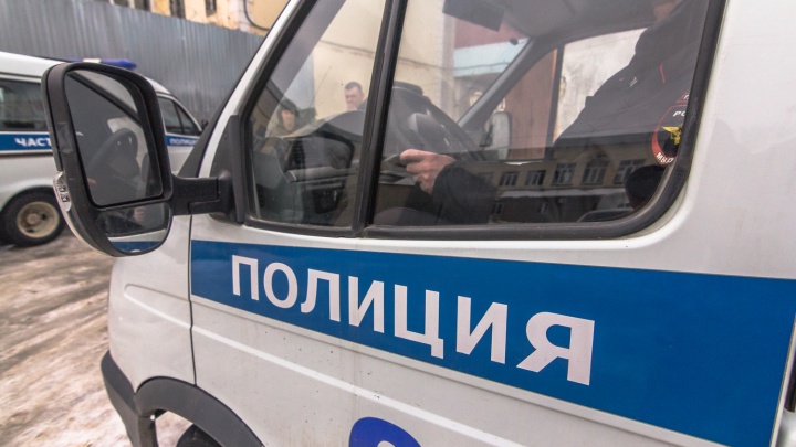 Полиция проверяет информацию о насильнике, который якобы нападает на девочек в Тольятти