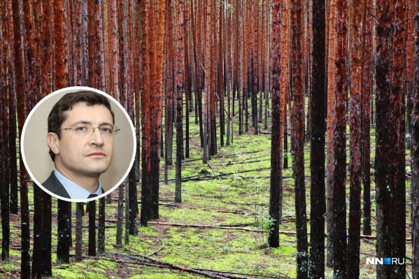Жители негодуют, что могут лишиться прекрасного места отдыха Жители негодуют, что могут лишиться прекрасного места отдыха