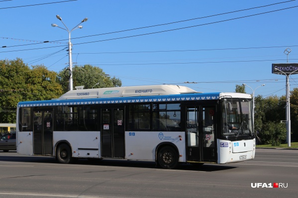 Как заявил глава «Башавтотранса», никаких перебоев в работе автобусов в Стерлитамаке не было Как заявил глава «Башавтотранса», никаких перебоев в работе автобусов в Стерлитамаке не было