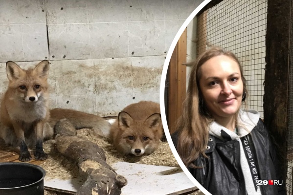 Елена рассказала, что уже есть некоторые варианты для переселения Елена рассказала, что уже есть некоторые варианты для переселения