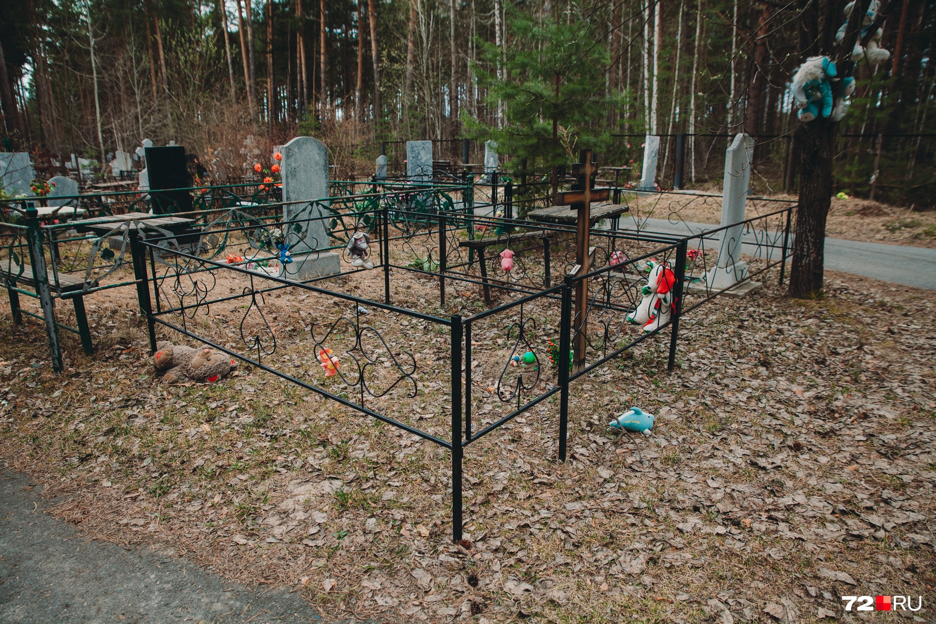 По обилию, даже при отсутствии надгробья, плюшевых игрушек можно понять, что здесь похоронен ребенок По обилию, даже при отсутствии надгробья, плюшевых игрушек можно понять, что здесь похоронен ребенок
