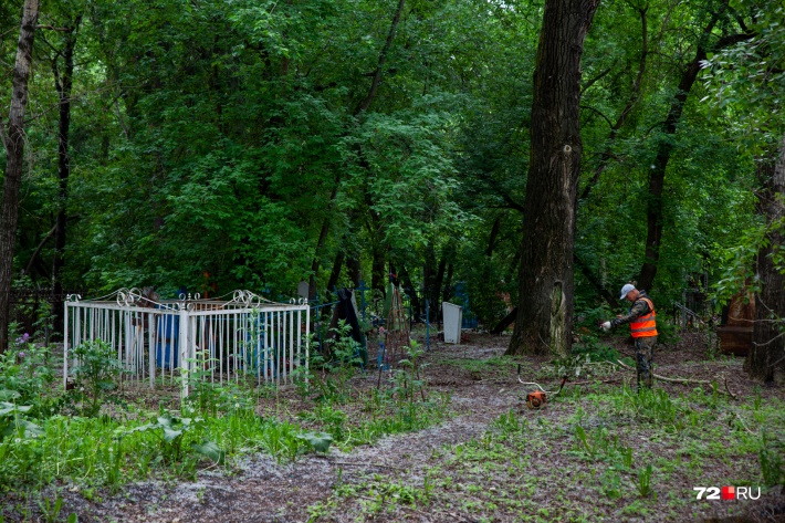 Впрочем, по периферии кладбища, например, со стороны улицы Холодильной, рабочие все-таки косят траву