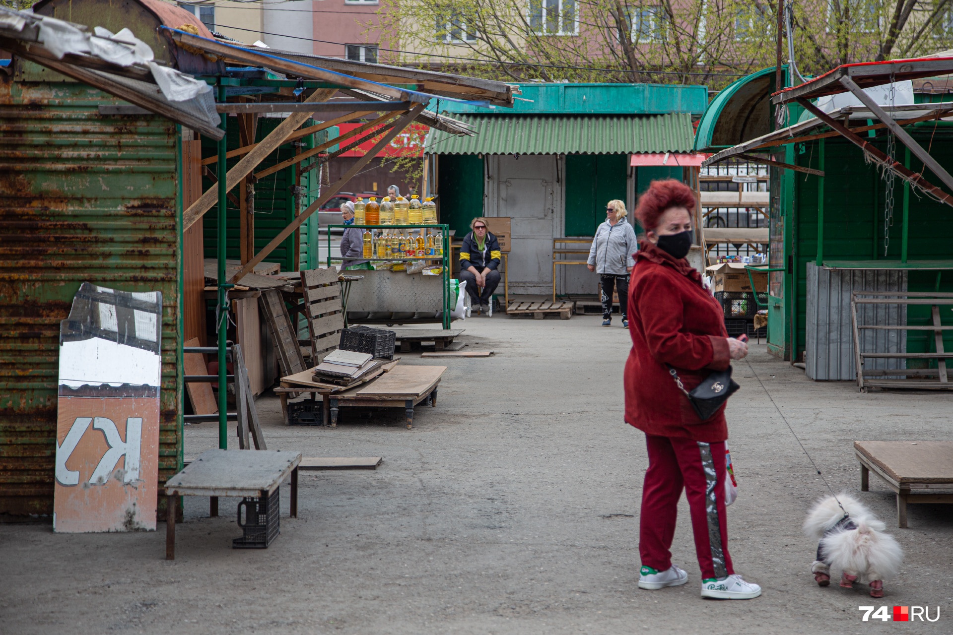Раздолье для прогулок Раздолье для прогулок 