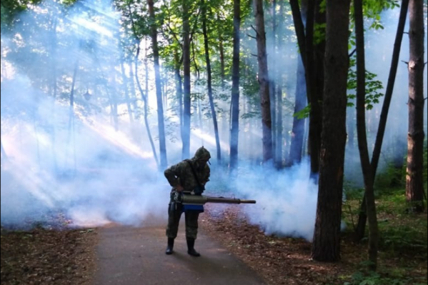 Обрабатываться будут не только парки, но и водоемы Обрабатываться будут не только парки, но и водоемы 