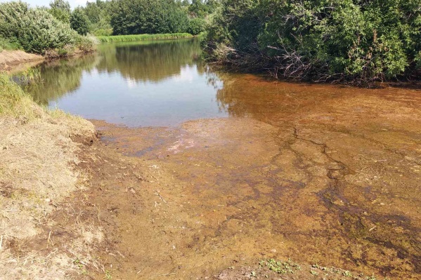 Так сейчас выглядит вода в Каме Так сейчас выглядит вода в Каме