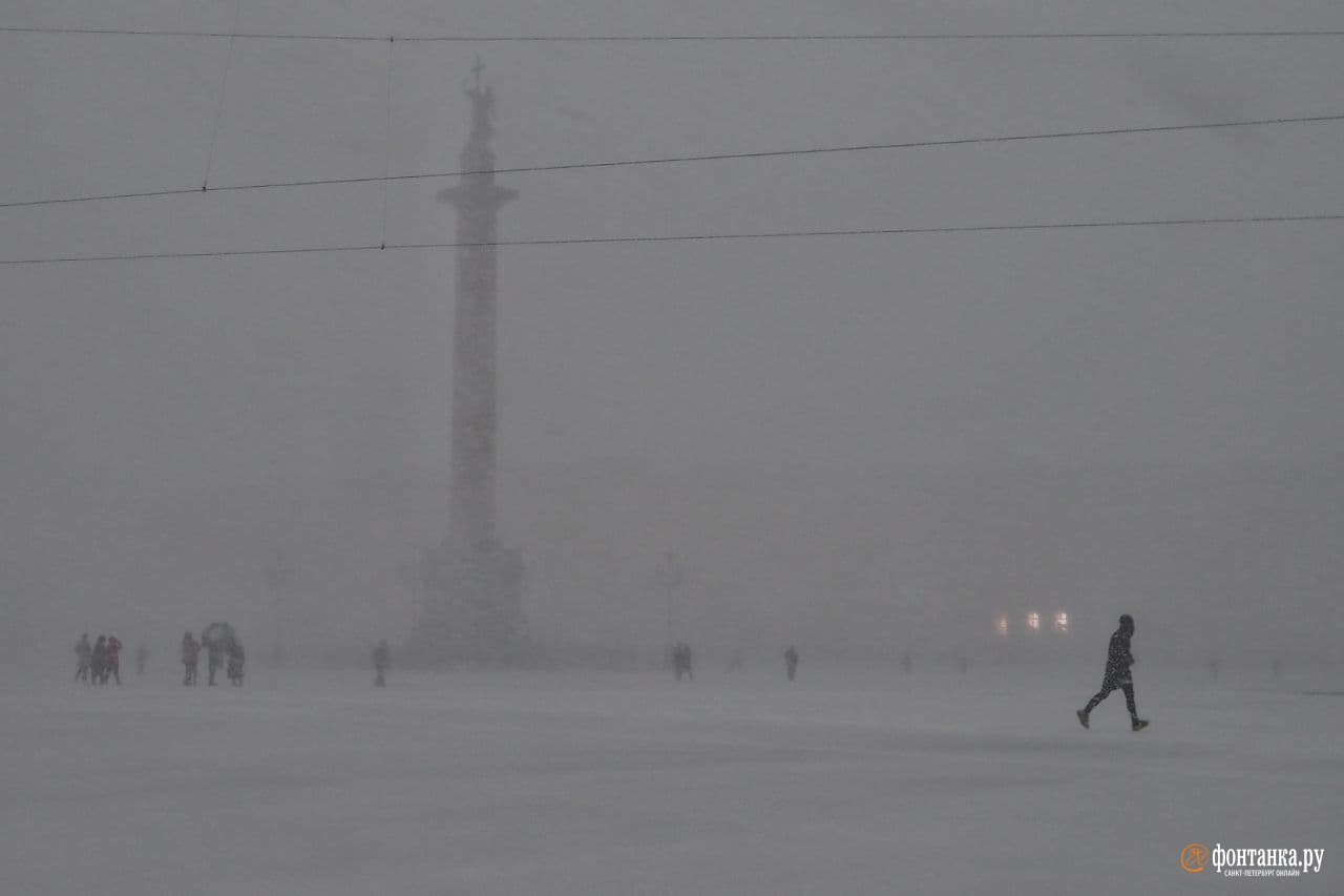 Петербург засыплет снегом, на дорогах возможны снежные накаты