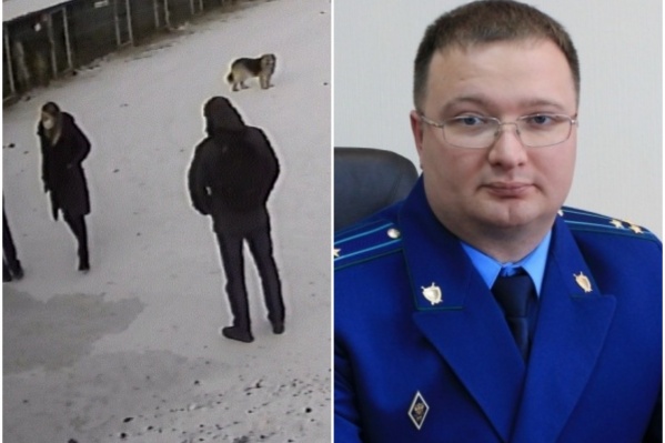 Прокурор Тюменской области встретился с руководством приюта «Лучший друг» Прокурор Тюменской области встретился с руководством приюта «Лучший друг»