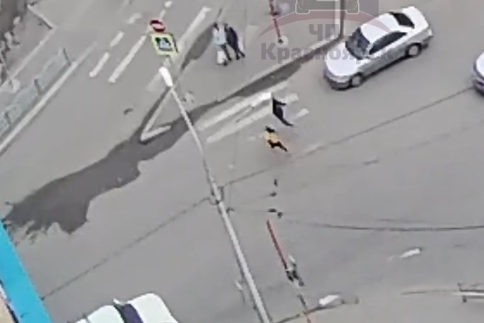 Дети выбежали под колеса авто Дети выбежали под колеса авто