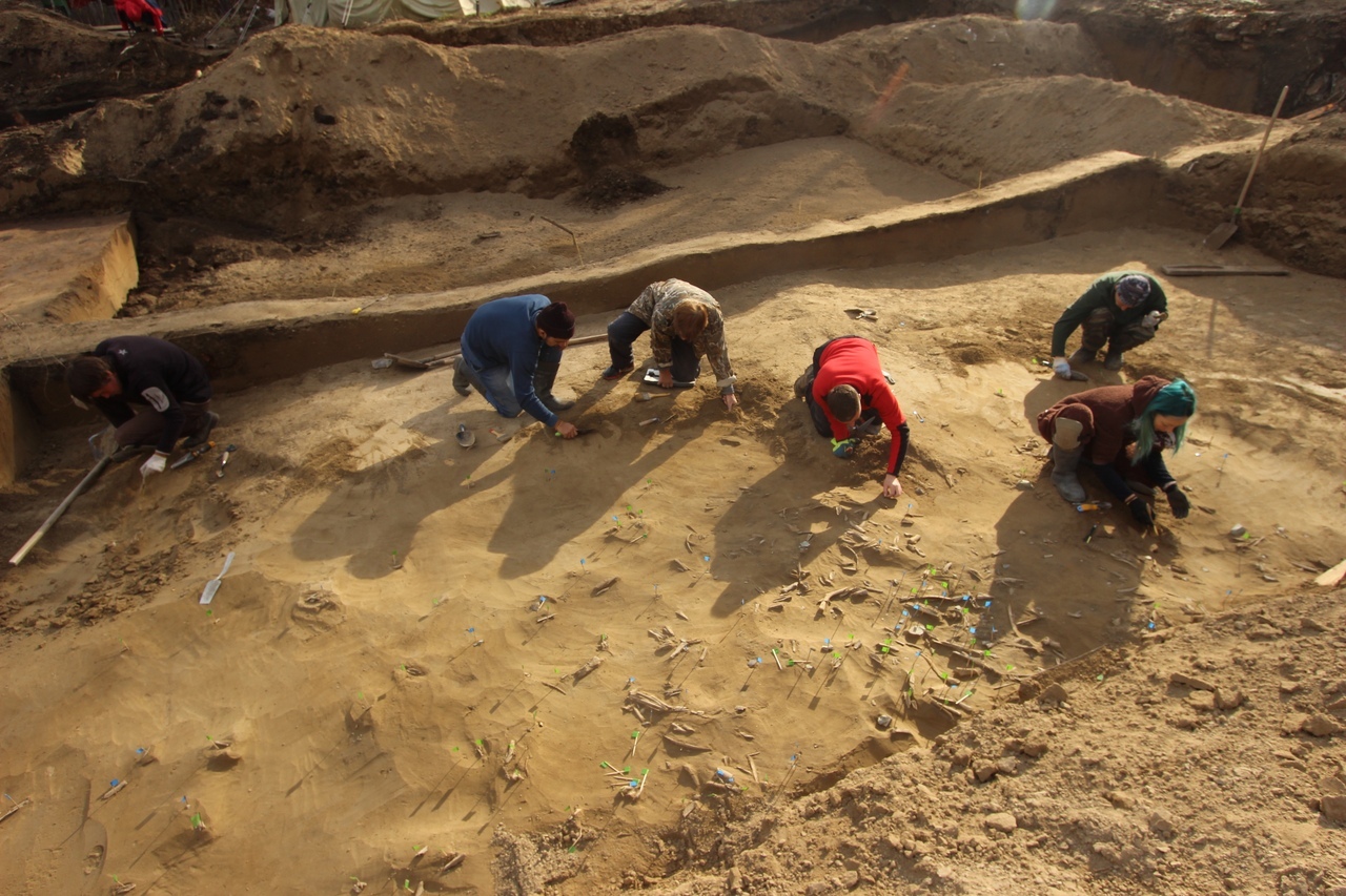 Работы археологи вели с августа текущего года