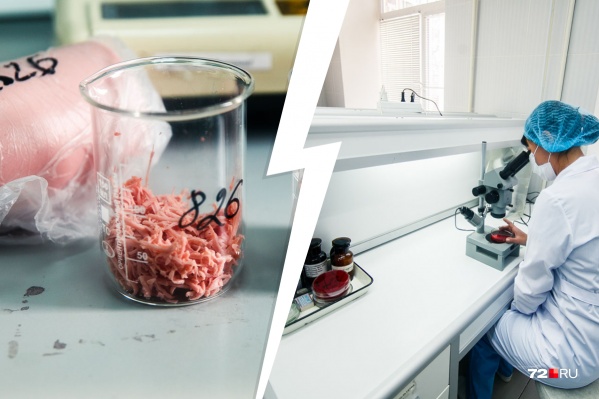 Прекращение действия декларации на продукцию означает полный запрет на её производство, пока не будет куплена новая Прекращение действия декларации на продукцию означает полный запрет на её производство, пока не будет куплена новая