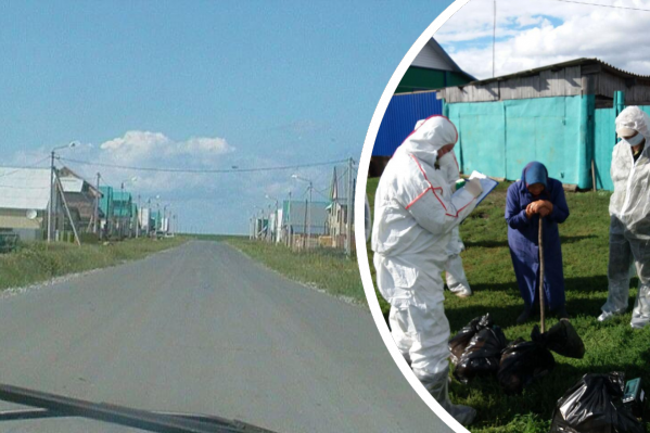 Специалисты в защитных костюмах приходят в каждый дом за птицей Специалисты в защитных костюмах приходят в каждый дом за птицей