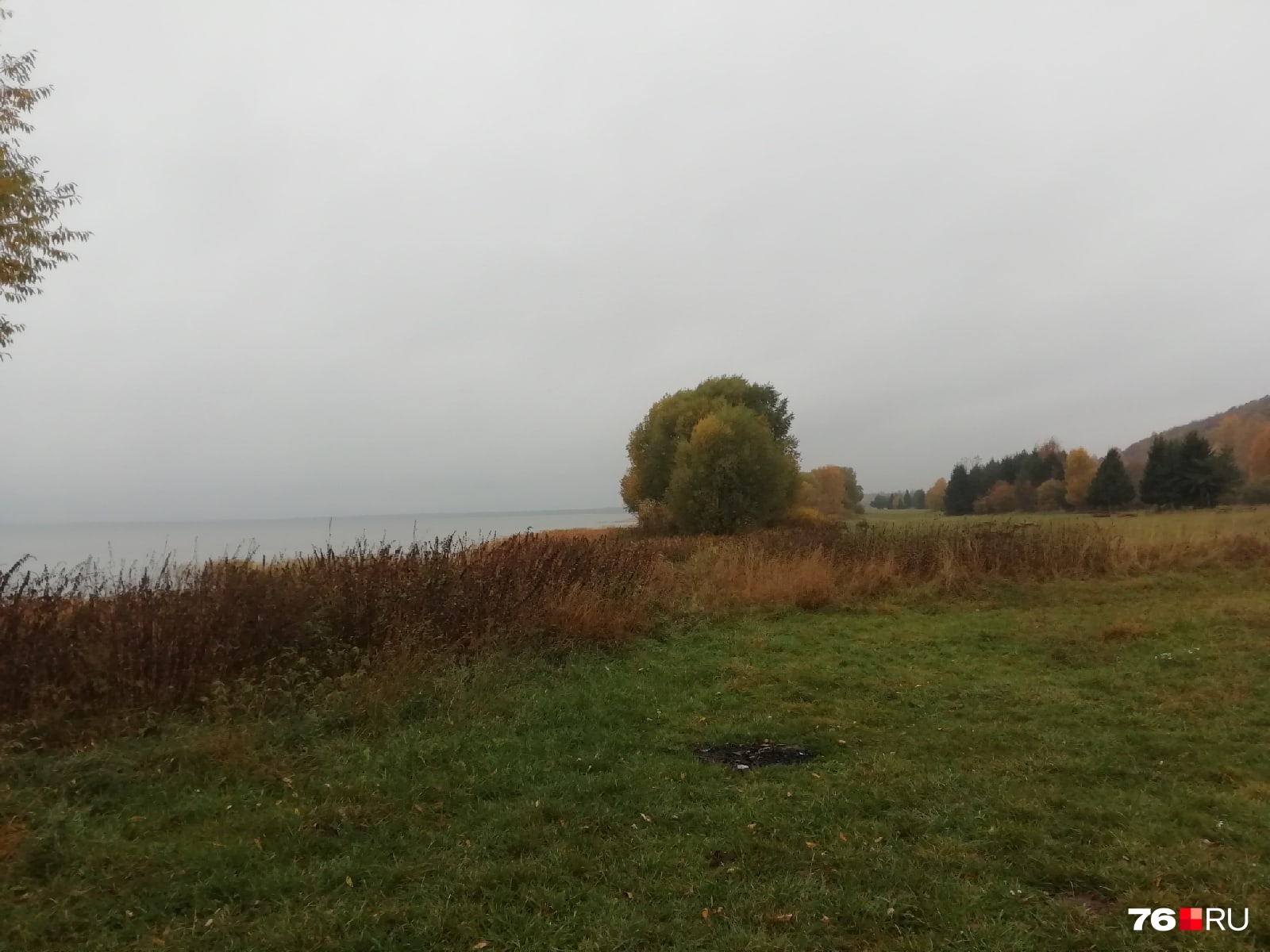 Скоро на берегу Плещеева озера под Переславлем-Залесским могут появиться коттеджи и заборы