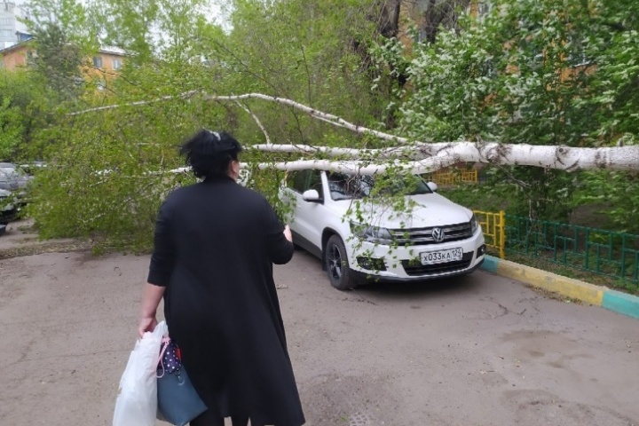 О сильном ветре предупреждают всю рабочую неделю О сильном ветре предупреждают всю рабочую неделю