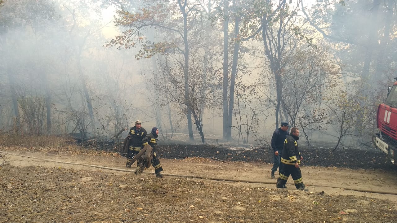 Лесные пожары в Волгоградской области взяли в кольцо