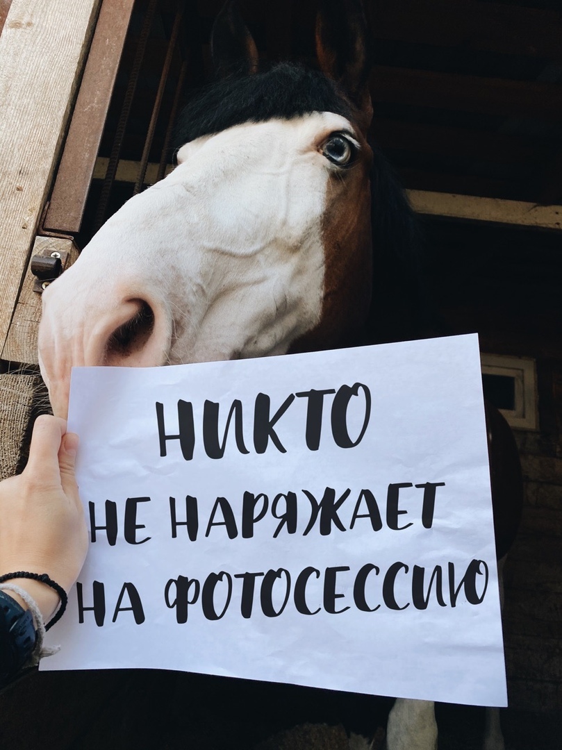 Возмутительно! Возмутительно!