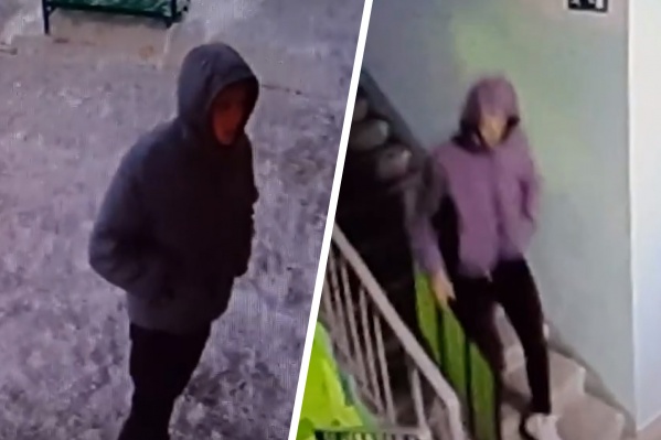 Молодому человеку хватило 5 минут, чтобы вынести картину из подъезда Молодому человеку хватило 5 минут, чтобы вынести картину из подъезда