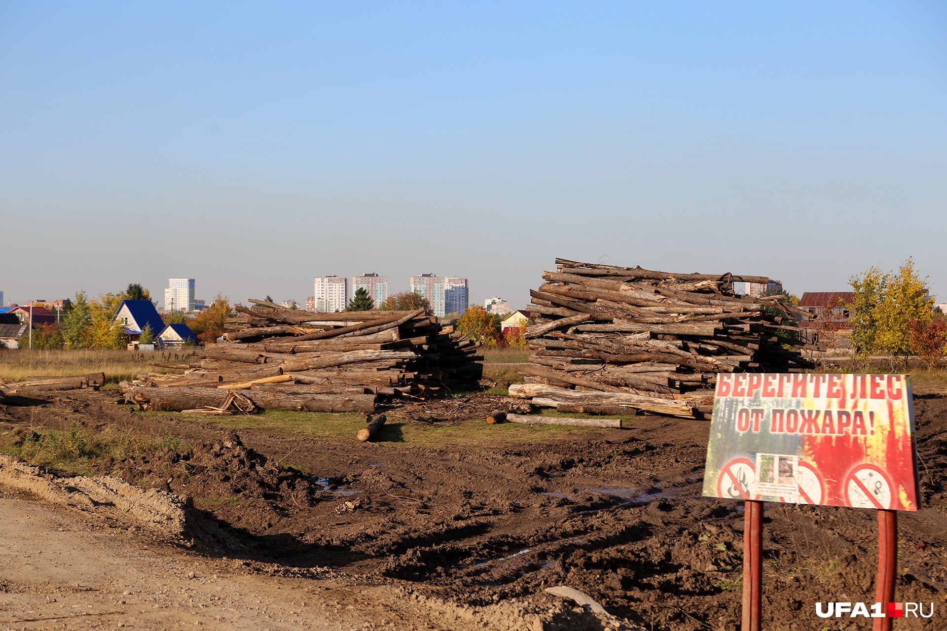 Очень символично, что возле срубленных деревьев стоит табличка с надписью «Берегите лес от пожара». 