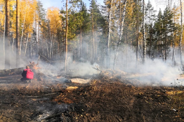 Лес загорелся в 103 квартале Ново-Буянского лесничества Лес загорелся в 103 квартале Ново-Буянского лесничества