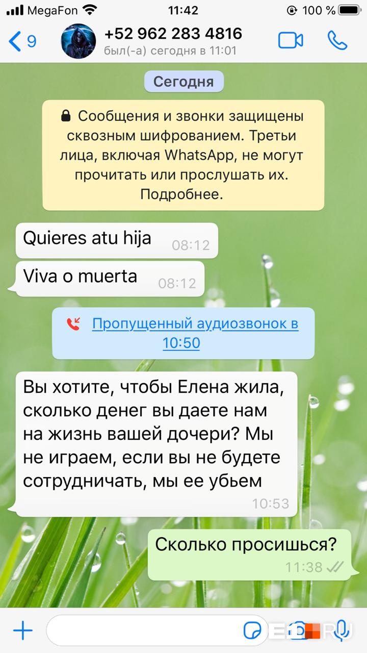 «Если вы не будете сотрудничать, мы ее убьем»: за пропавшую в Мексике екатеринбурженку потребовали выкуп