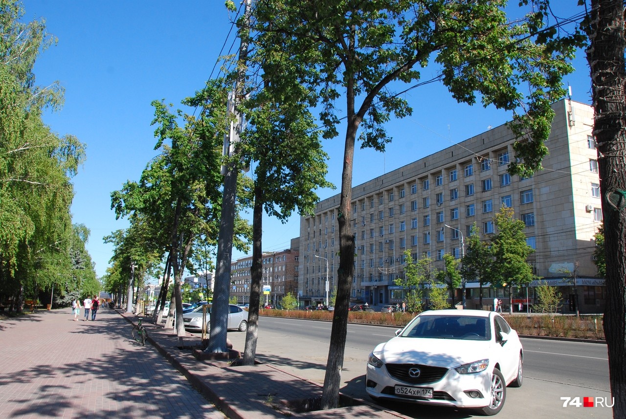 Снизу почти не оставили пространства для деревьев, а сверху безобразно режут Снизу почти не оставили пространства для деревьев, а сверху безобразно режут