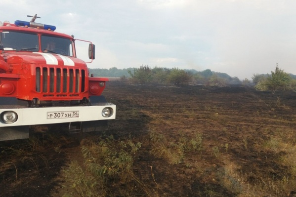 Все очаги степных пожаров взяты под контроль Все очаги степных пожаров взяты под контроль