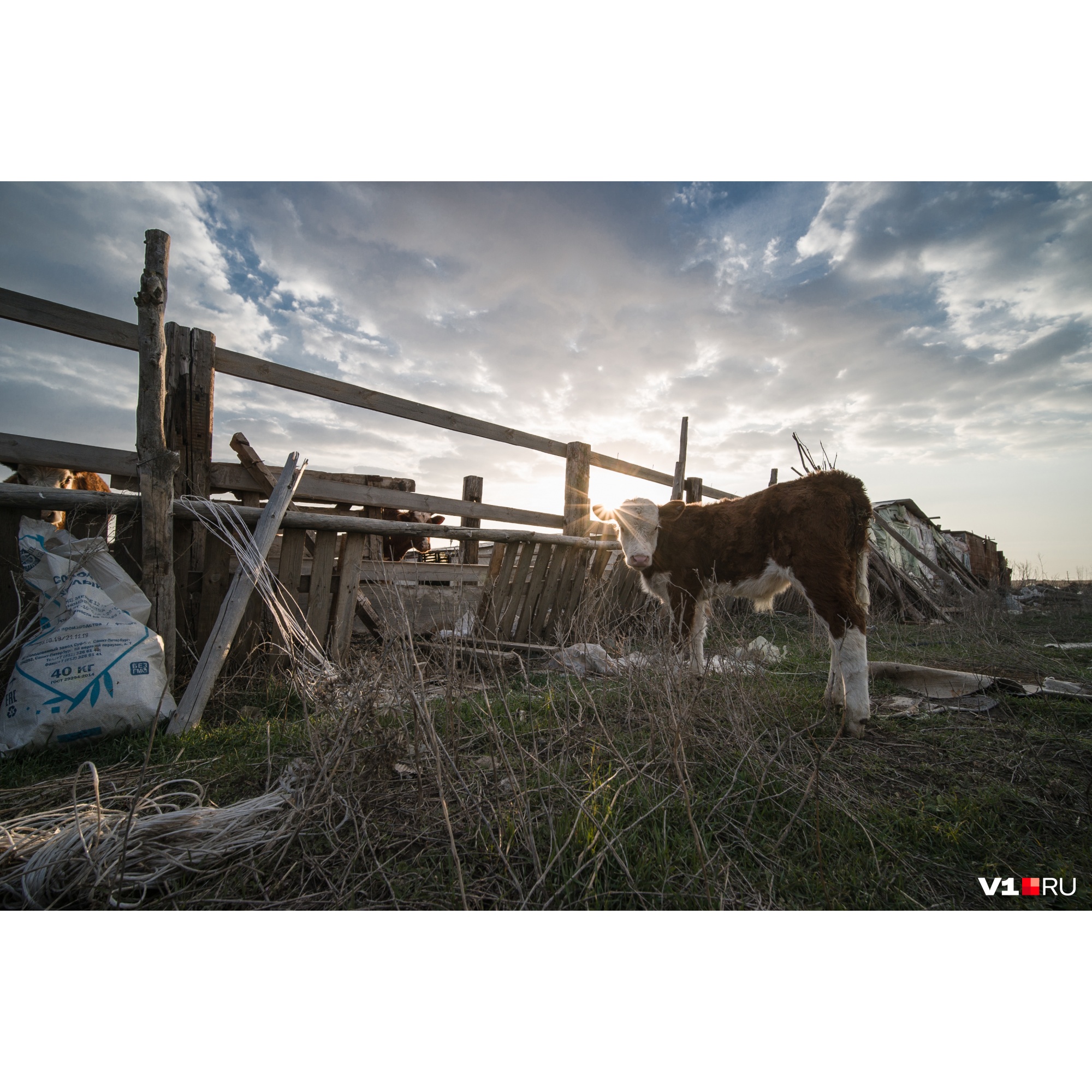 Фотограф, бросивший из-за коронавируса Волгоград, показал обворожительную жизнь в глухой деревне